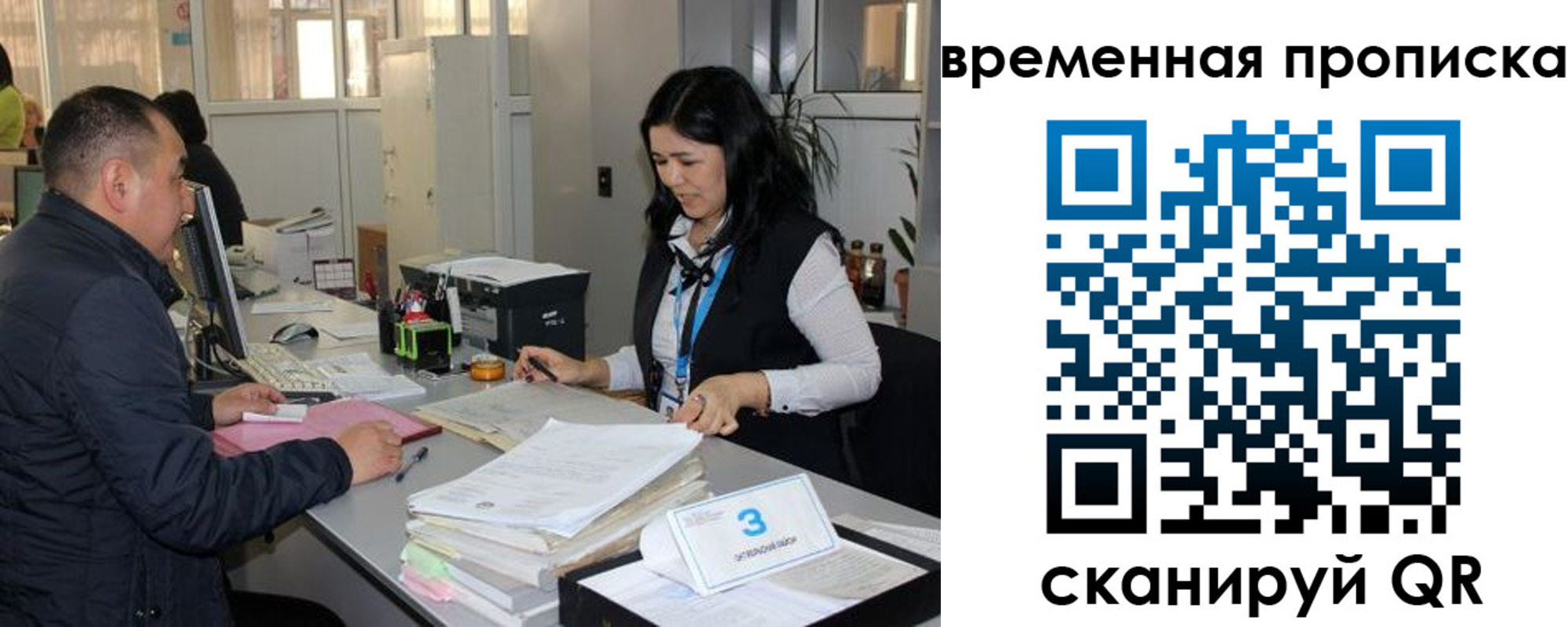 временная регистрация поиск в Долгопрудном